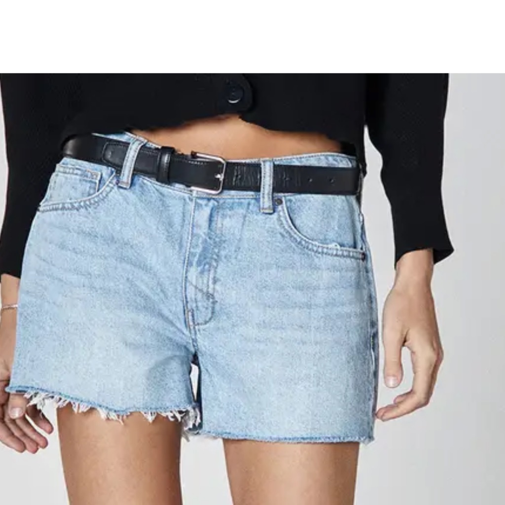 Nwt Unpublished Laine Boyfriend Shorts